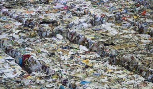 离了中国不行 中国拒收洋垃圾第7年,西方垃圾处理系统崩溃了